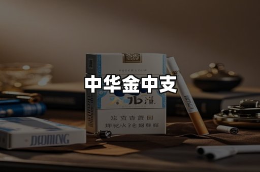 中华金中支
